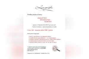Lingvista