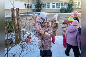 Starostlivosť o vtáčiky