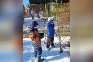 Starostlivosť o vtáčiky