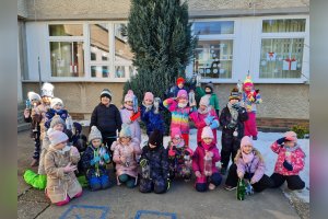 Starostlivosť o vtáčiky