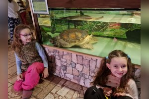 Zážitkové učenie v 1.A