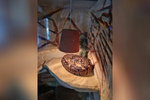 Zážitkové učenie v 1.A