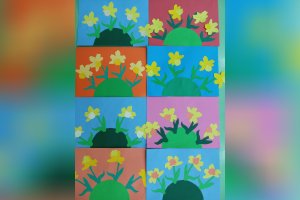 Narcis