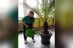 Farebný týždeň
